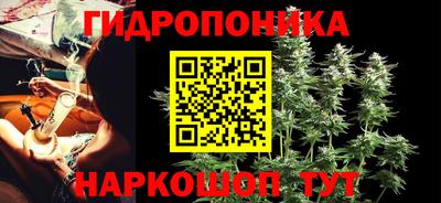 стаф Ливны