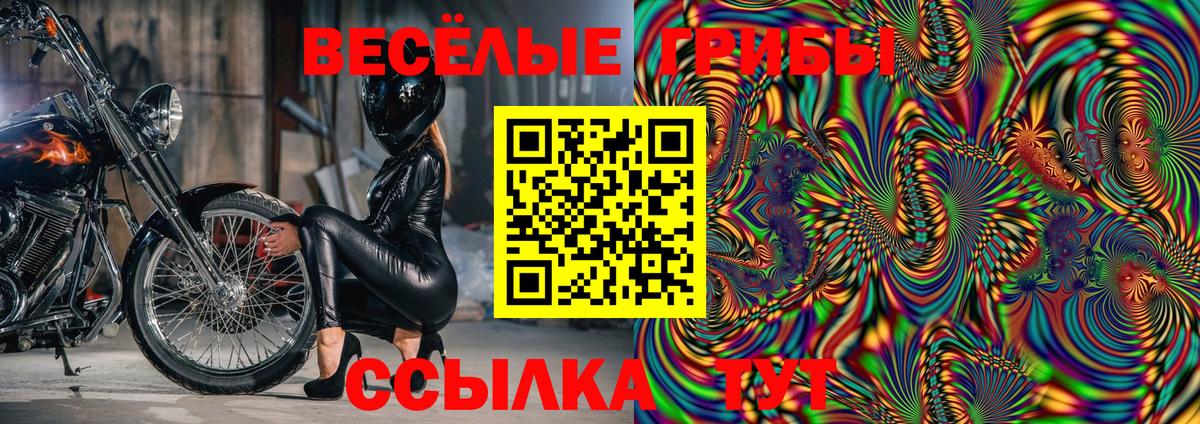 Псилоцибиновые грибы Cubensis Зеленодольск