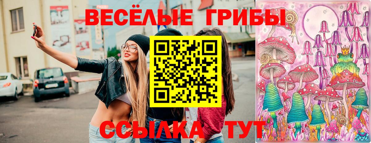 Зеленодольск  Галлюциногенные грибы GOLDEN TEACHER  Вход с VPN 